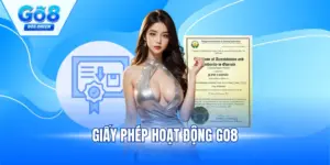 Giấy Phép Hoạt Động GO8 - Khẳng Định Tính Tin Cậy, An Toàn
