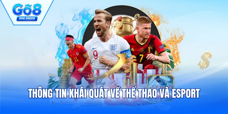 Thông tin khái quát về thể thao và Esport